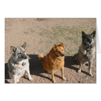 Wachten op behandelingen