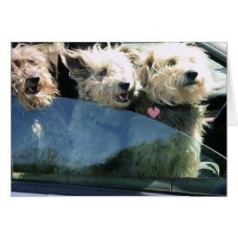 Wachten op Chinees eten