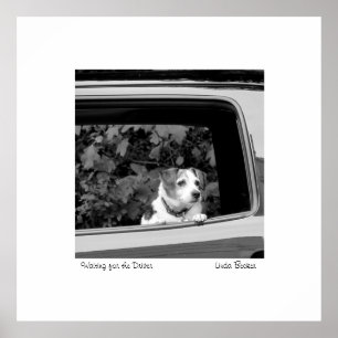 Wachten op de foto van de chauffeur door Linda Bec Poster