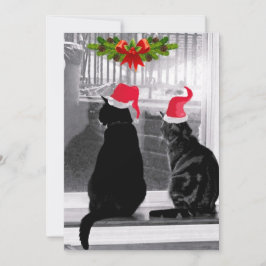 Wachten op de kerstman