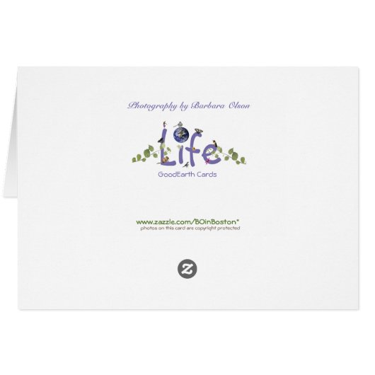 Wachten op de lente (Achterkant Horizontaal)