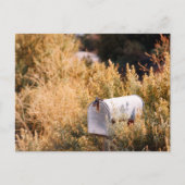 Wachten op de post. briefkaart (Voorkant)