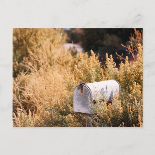 Wachten op de post. briefkaart (Voorkant)