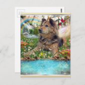 Wachten op de regenboogbrug briefkaart (Voorkant / Achterkant)