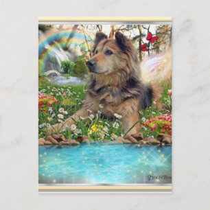 Wachten op de regenboogbrug briefkaart