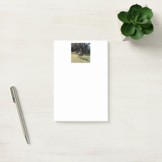 "Wachten op de zigeunerrondleiding" Post-it® Notes (Kantoor)