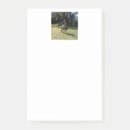 "Wachten op de zigeunerrondleiding" Post-it® Notes