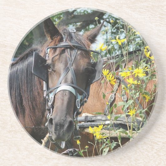 Wachten op een paard zandsteen onderzetter (Voorkant)