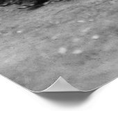 Wachten op Ellis Island, begin jaren '00 Poster (Hoek)