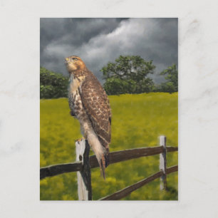 Wachten op het Storm - Red tail Hawk Briefkaart