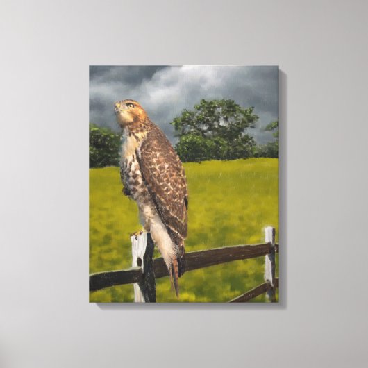 Wachten op het Storm - Red tail Hawk Canvas Afdruk (Voorkant)