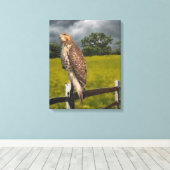 Wachten op het Storm - Red tail Hawk Canvas Afdruk (Insitu (Houten vloer))