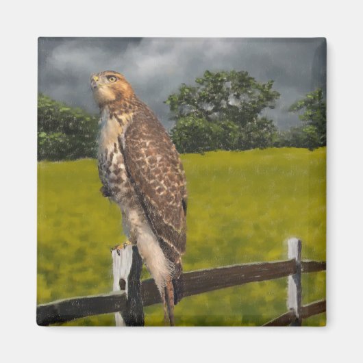 Wachten op het Storm - Red tail Hawk Magneet (Voorkant)