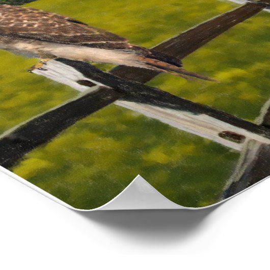 Wachten op het Storm - Red tail Hawk Poster (Hoek)