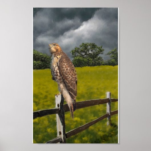 Wachten op het Storm - Red tail Hawk Poster (Voorkant)