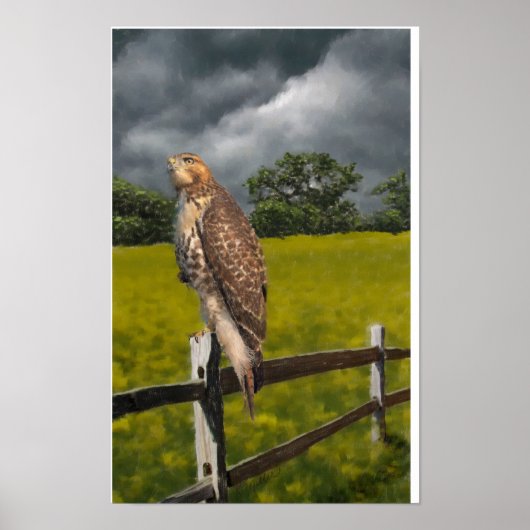 Wachten op het Storm - Red tail Hawk Poster (Voorkant)