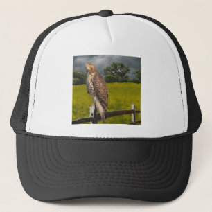 Wachten op het Storm - Red tail Hawk Trucker Pet