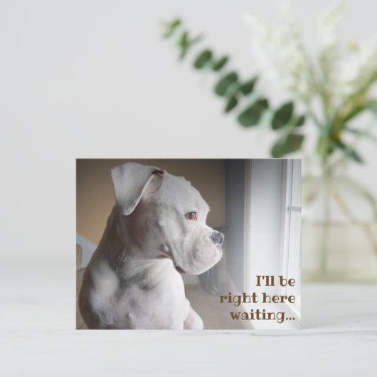 Wachten op het witte Briefkaart (Staand voorkant)