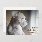 Wachten op het witte Briefkaart (Voorkant / Achterkant)