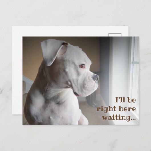 Wachten op het witte Briefkaart (Voorkant / Achterkant)