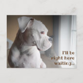 Wachten op het witte Briefkaart (Voorkant)