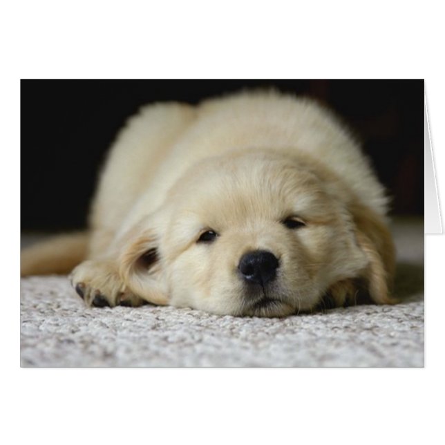 Wachten op jou (Voorkant Horizontaal)