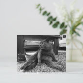 Wachten op jou - Briefkaart (Staand voorkant)