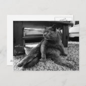 Wachten op jou - Briefkaart (Voorkant / Achterkant)