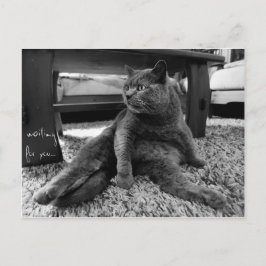 Wachten op jou - Briefkaart