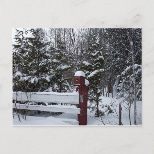 Wachten op kerst-vogelhuis feestdagenkaart (Voorkant)