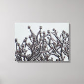 Wachten op lente — Dogwood Tree in Ice Canvas Afdruk (Voorkant)