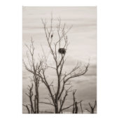 Wachten op leven foto afdruk (Voorkant)