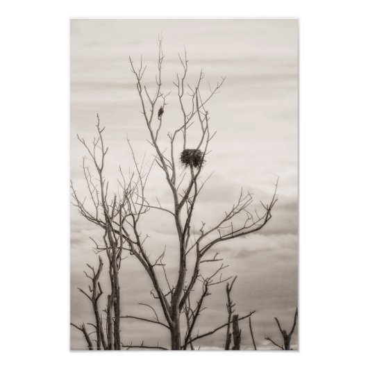 Wachten op leven foto afdruk (Voorkant)