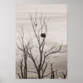 Wachten op leven poster (Voorkant)