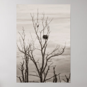 Wachten op leven poster