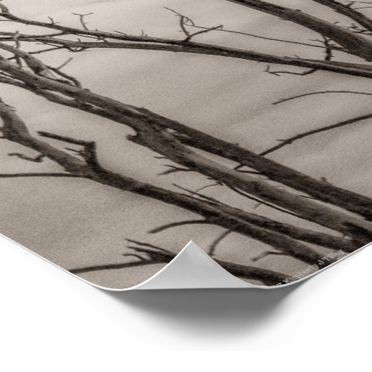 Wachten op leven poster (Hoek)