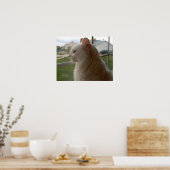 Wachten op mijn mens poster (Keuken)