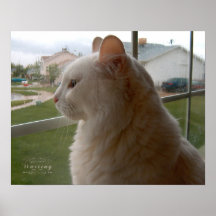 Wachten op mijn mens