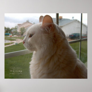 Wachten op mijn mens poster