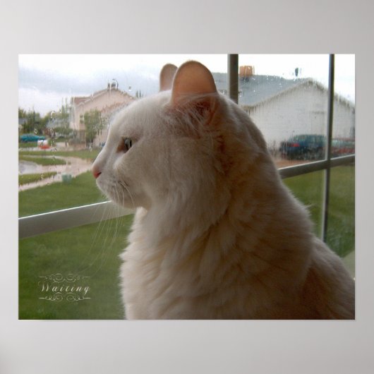 Wachten op mijn mens poster (Voorkant)