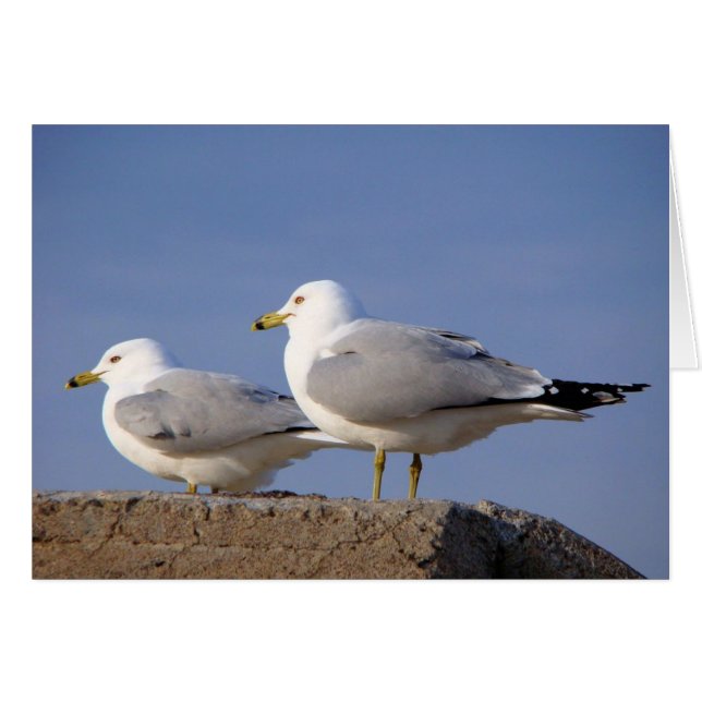 Wachten op opheffing (Voorkant Horizontaal)