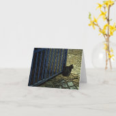 Wachten op Pablo Kaart (Gele Bloem)