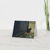 Wachten op Pablo Kaart (Voorkant)