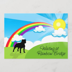 Wachten op regenboogbrug Pitbulls Kaart