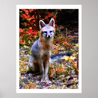 WACHTEN OP SANDRA POSTER