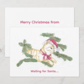 Wachten op Sinterklaas... Feestdagenkaart (Voorkant / Achterkant)