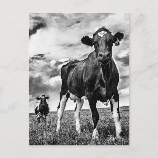 Wachten op uiteinde uiteinde briefkaart (Voorkant)