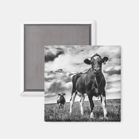 Wachten op uiteinde uiteinde magneet (Voorkant / Achterkant)