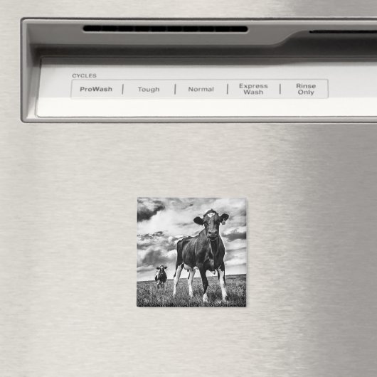 Wachten op uiteinde uiteinde magneet (Insitu (Vaatwasser))