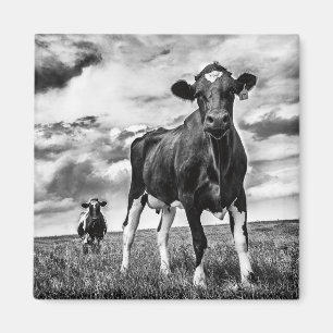 Wachten op uiteinde uiteinde magneet